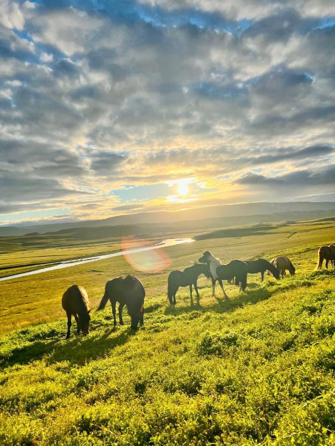 Stora-Asgeirsa Horse Farm Stay Vithigerthi 外观 照片