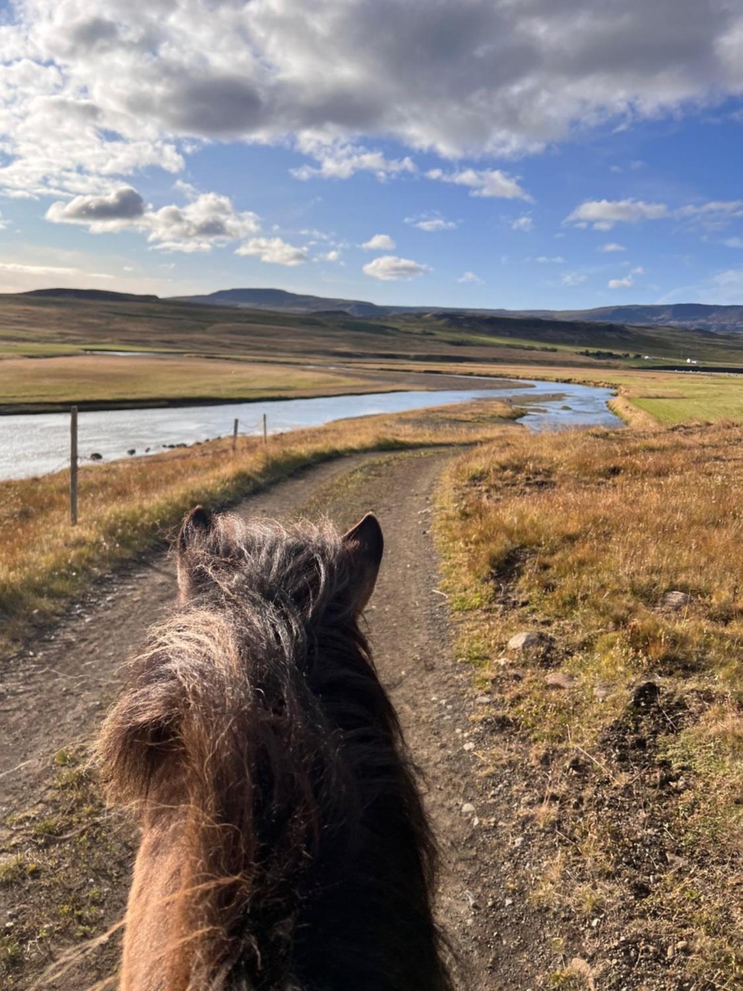 Stora-Asgeirsa Horse Farm Stay Vithigerthi 外观 照片