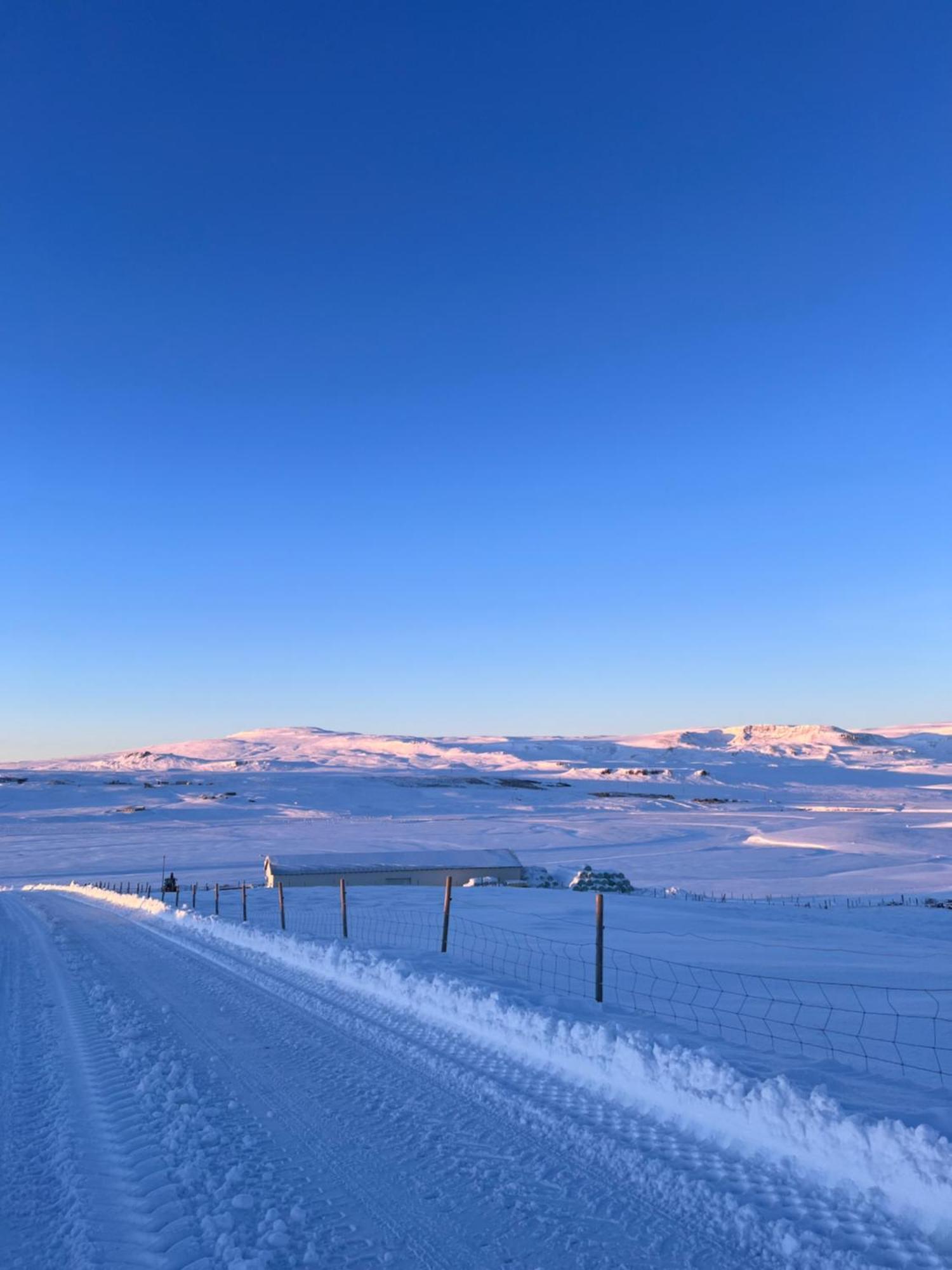 Stora-Asgeirsa Horse Farm Stay Vithigerthi 外观 照片