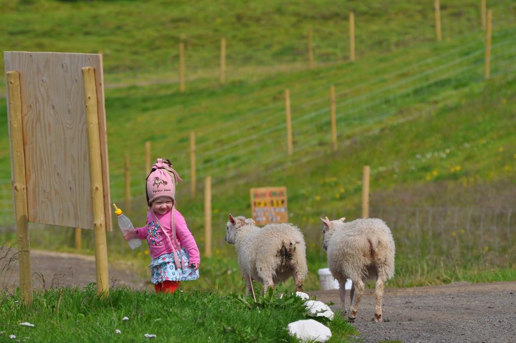 Stora-Asgeirsa Horse Farm Stay Vithigerthi 外观 照片