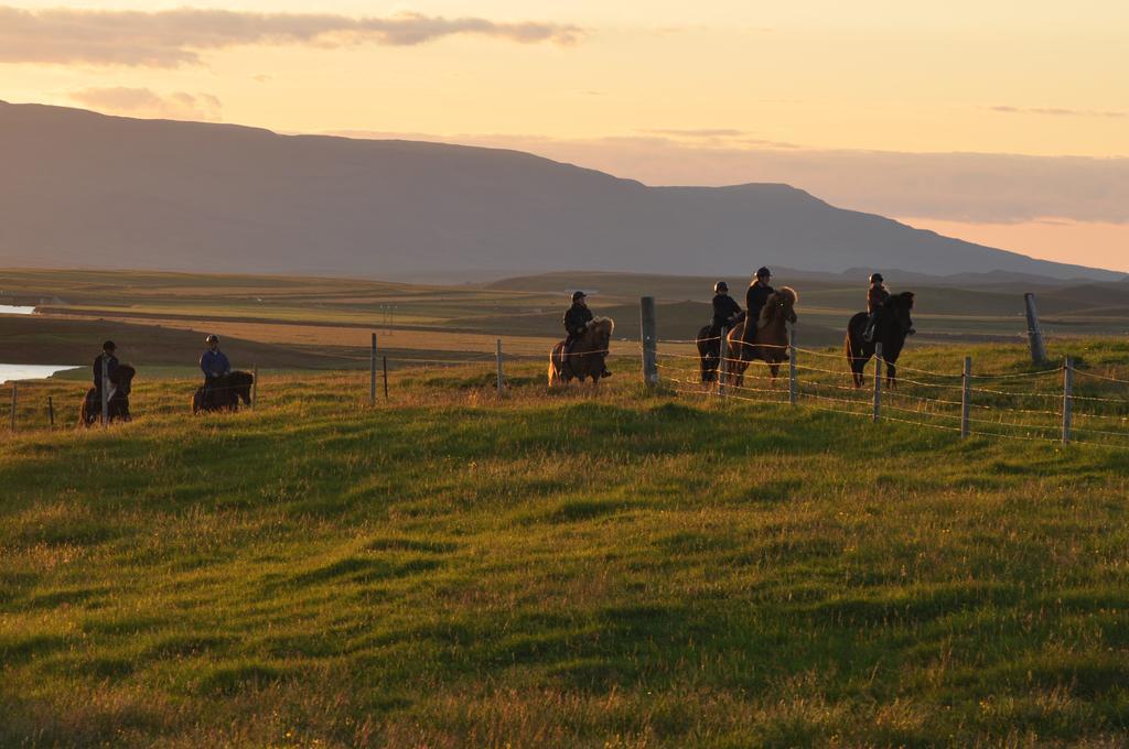 Stora-Asgeirsa Horse Farm Stay Vithigerthi 外观 照片